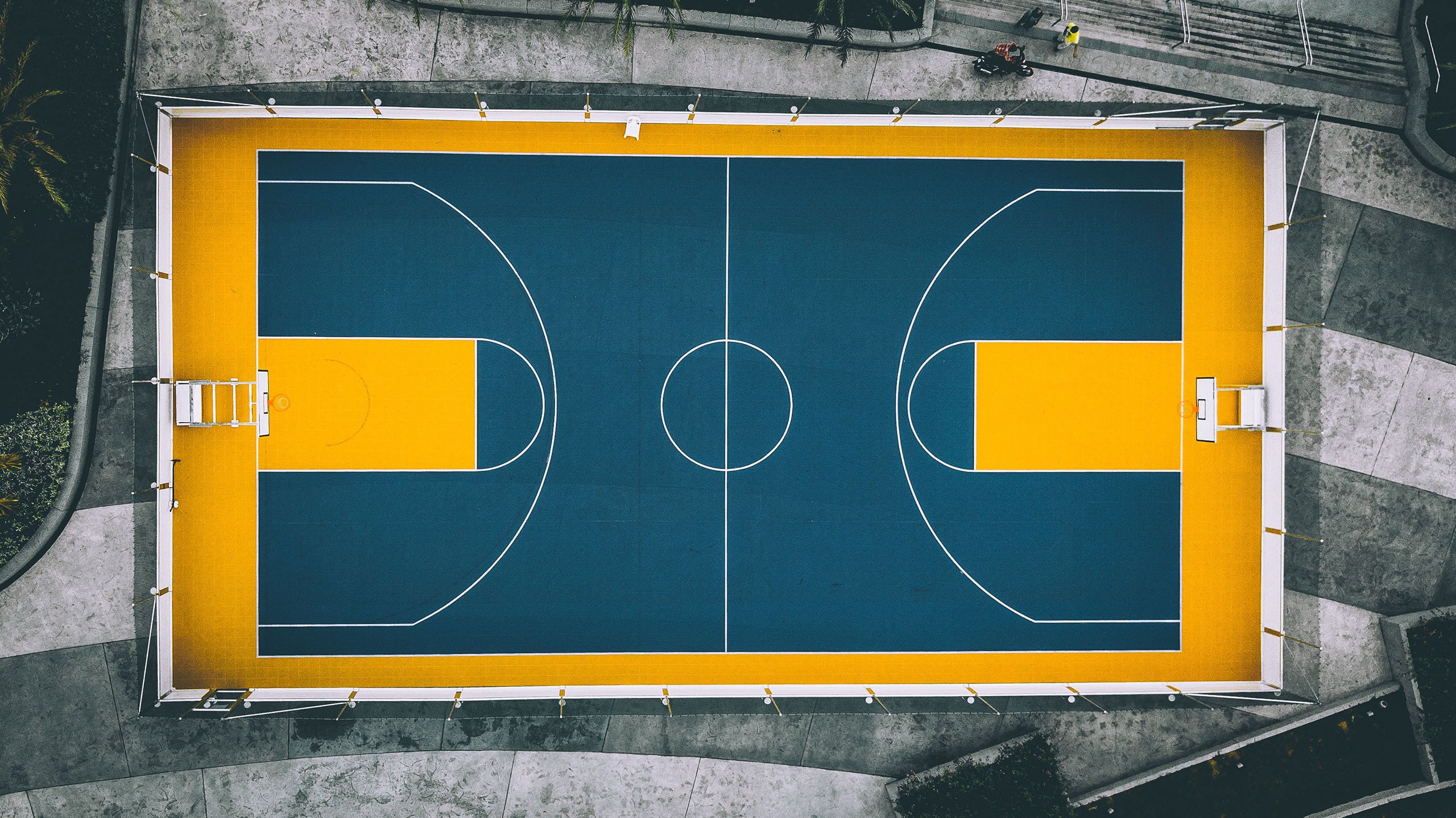 2026世界杯F组焦点战,阿根廷碾压突尼斯,穆西亚拉中场神迹主导比赛